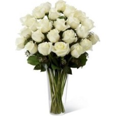 Light white (Standard)